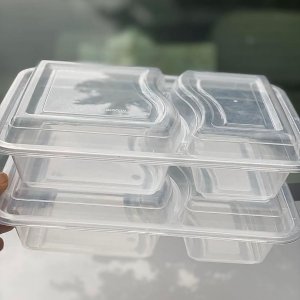 Transparent 2 compartment square bowl