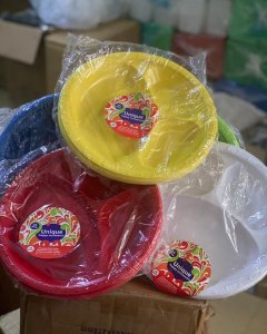 Partitioned disposable plates