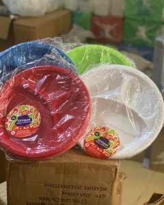 Partitioned disposable plates