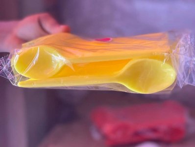 Disposable Spoons/Forks