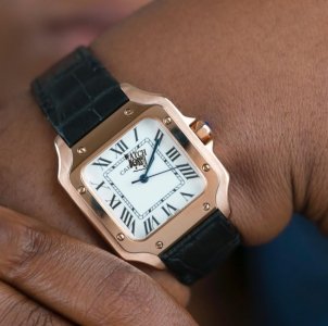 Watchboss wristwatches