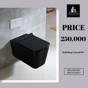 Matte black wall hung conceal WC