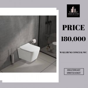 Wall hung conceal WC