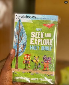 The Seek and Explore Bible for children