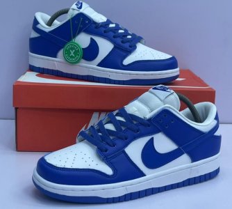 SB dunk sneaker