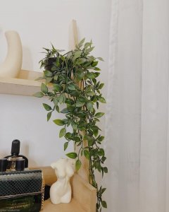 Body sculpture vase/potted hanging plant