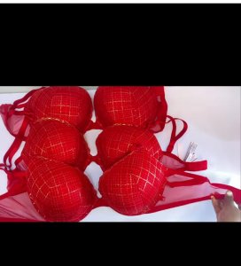 Sexy tee lace push up bra