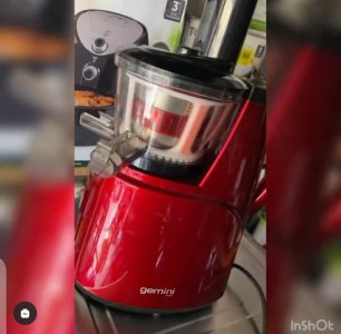 Gemini slow juicer