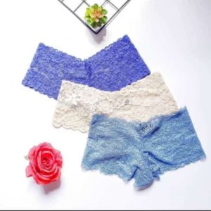 Ladies underwear pants