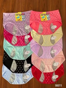 Ladies underwear pants