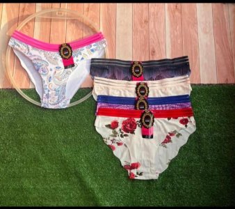 Ladies underwear pants