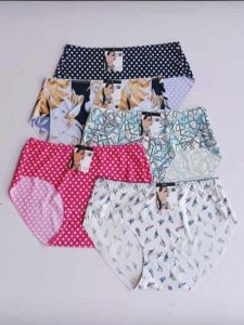 Ladies underwear pants