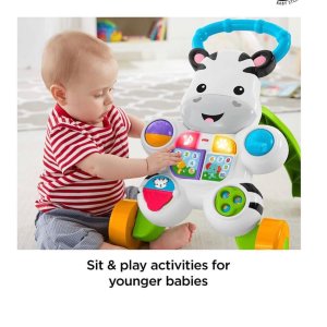 Baby Learn with Me Zebra Walker