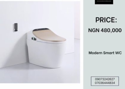 Modern Smart WC